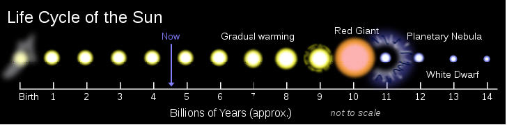 Life cycles of our Sun